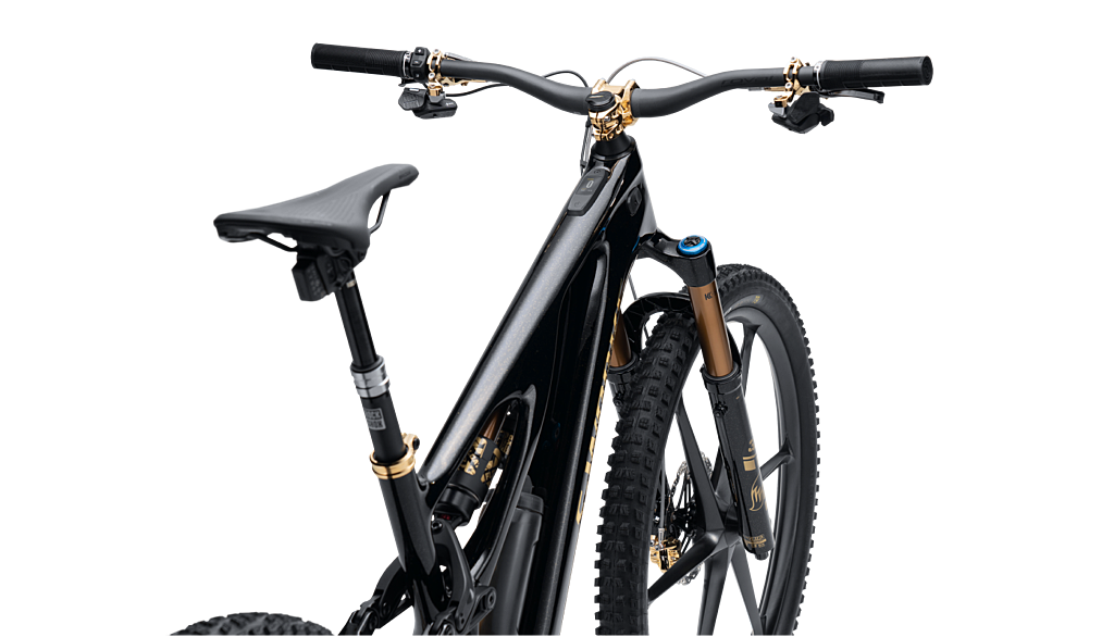 Schwarzes Specialized Limited Bike mit vergoldeter Verzierung von der Seite
